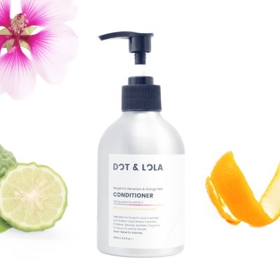 Repair Conditioner 2