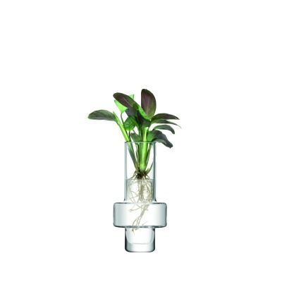 MP11 15cm Clear Cut out propped Portrait jpg cropped 1