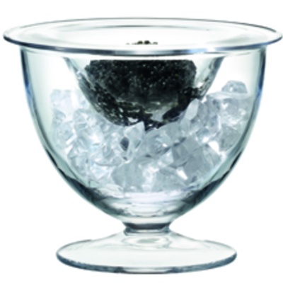 SZ18 AW11 Serve Serve Caviar Set Ø14cm Clear Cut out propped Landscape jpg cropped
