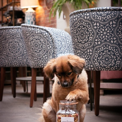 Nice kilner jar photo