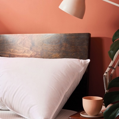 Pillow Protector lifestyle 900x900