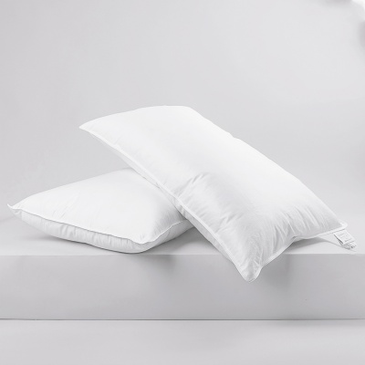 Pillow Savoy Duck Feather and Down1 900x900