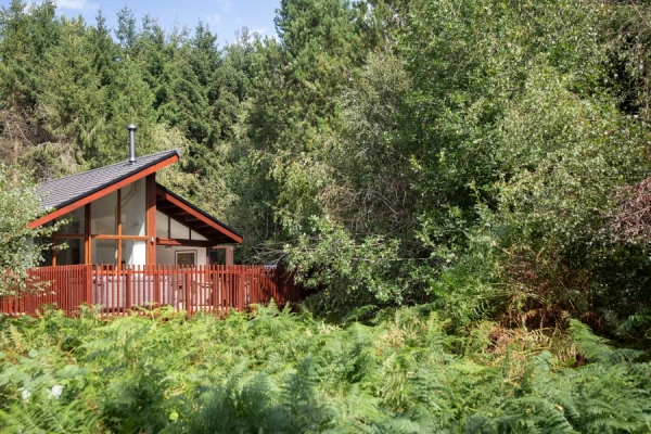 Shop Forest Holidays